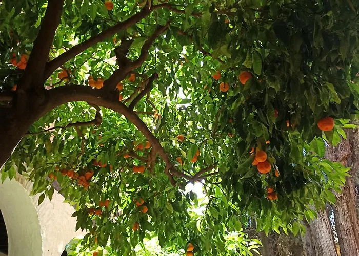 Susana Appartement *